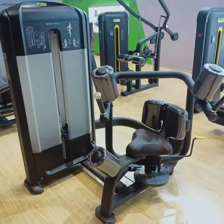 Commercial Fitness facilities Seated rotary torso machine gym equipment pin loaded torso rotation machine