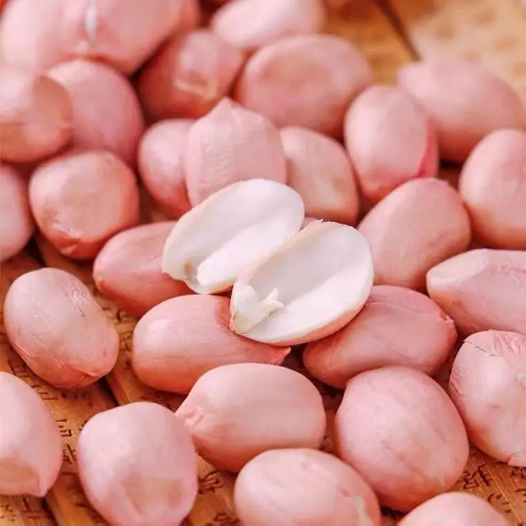 GEKO продукты оптом оптимальное питание арахис сырое для арахисового масла