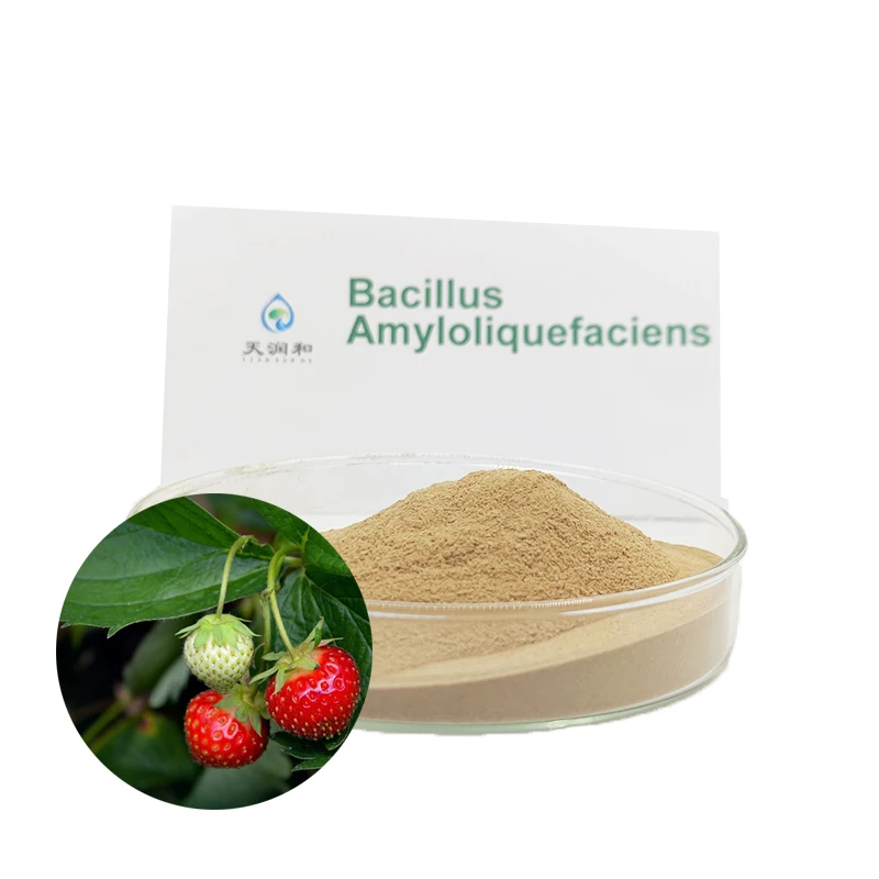 Bio-Fertilizer Bacillus Amyloliquefaciens Azotobacter Hot Selling