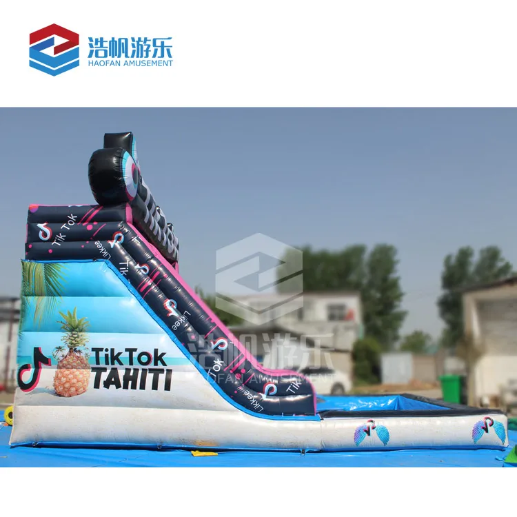 Cheap Custom Double Lane Inflatable Water Slide With Pool For Sale