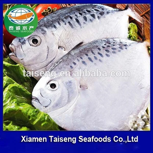 Competitive Price For Import Export Seafood Frozen Moonfish On Sale