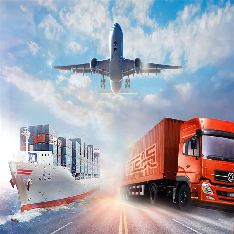 Lcl Fcl Sea Freight From China To Mersin Turkey FBA DDP DDU  Door To Door Delivery Services