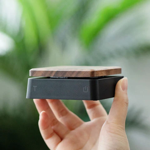 Diguo 2022 New Electronic Mini Kitchen Pocket Scale With Timing Function