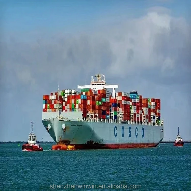 WIN-WIN Shipping Cargo Company To Doha Qatar Freight Forwarder China To Saudi Arabia Express Shipping Freight Freight Forwarder