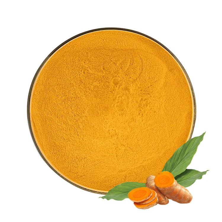 Top Quality Turmeric Root Extract 98% Curcumin Powder