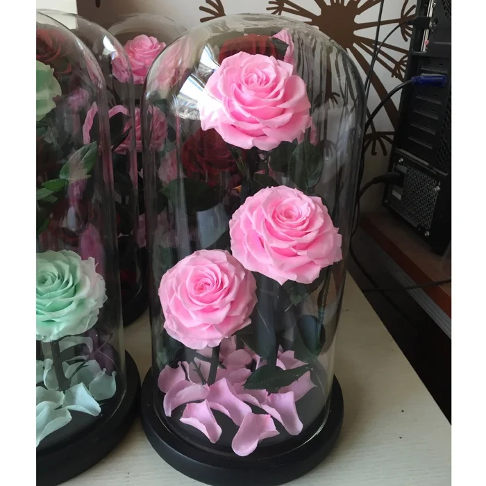 Натуральные тройные консервированные розы в стеклянном куполе в качестве подарка