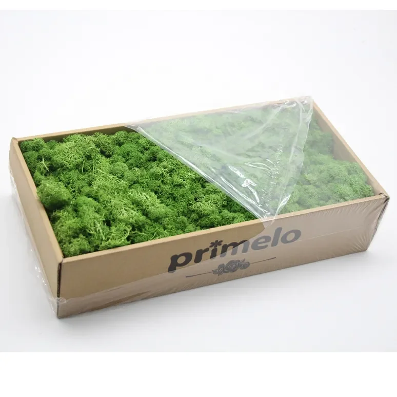 frames picture wall art other preserved moss modern 3d wall art home decor wall arts