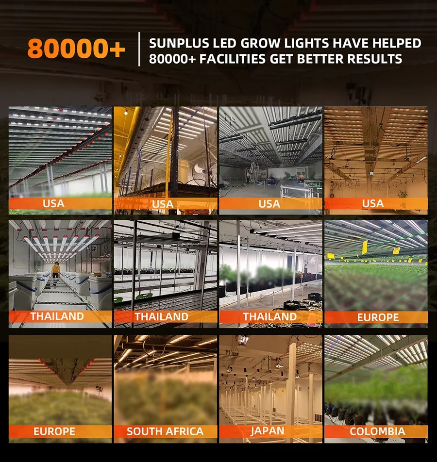 New Promotion Plant High Yield Panel Tent With Led Grow Light PPFD Wholesale In China