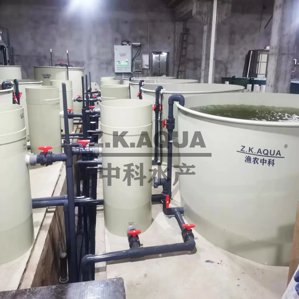 ras system aquaculture equipment customized ras fish farming system