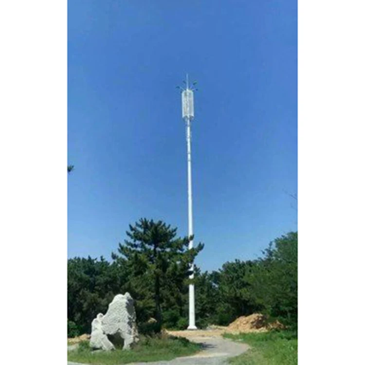 Communication Antenna 30m Self Supporting Mast Wifi Tower Telecom Price Supported Steel Cell 40m 30 Meter Monopole Tower