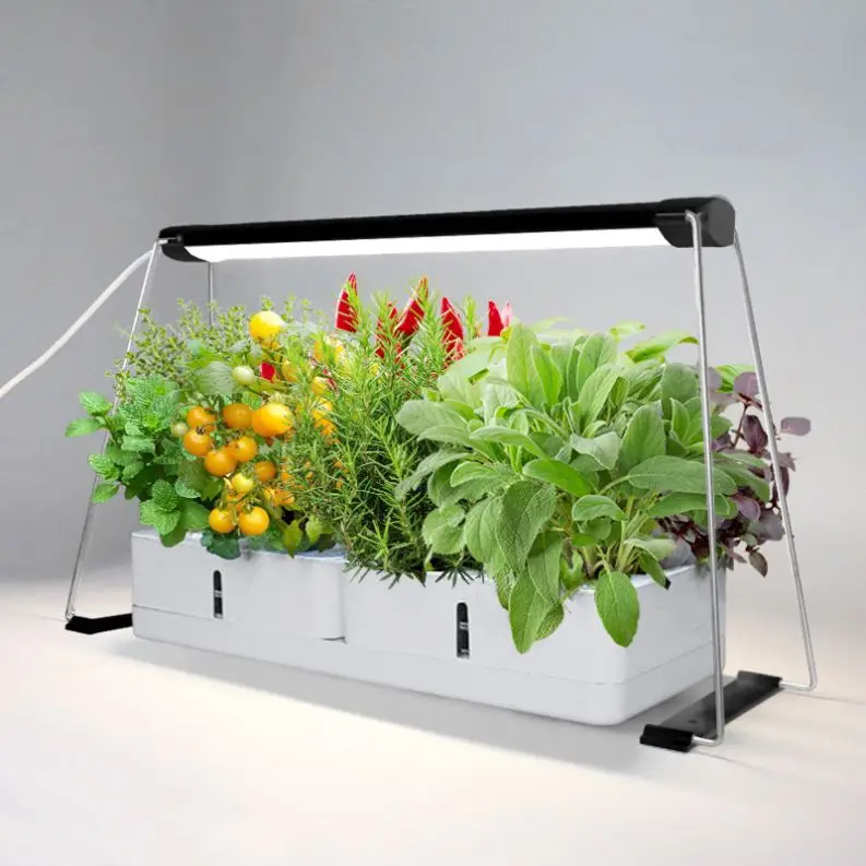J&C Minigarden hydroponic indoor gardening growth led plants seed nursery grow light home herb garden 2022