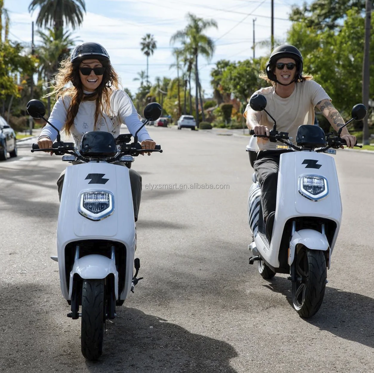 Elyx Zebra Electric Scooter Battery 60V 30AH 18650 Cell DAZZ Lithium Ion Battery 2000W Ebike Scooter Motorcycle Battery Pack