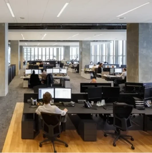 Potassium carbonate CAS584-08-7