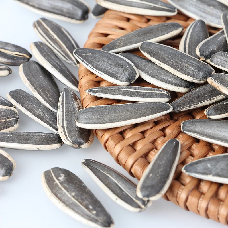 New Crop High Quality Sunflower Seeds T6/363/361 Supplier