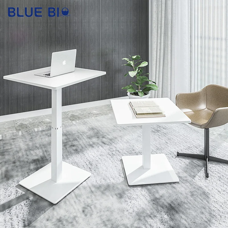 Single Leg Desk Electric Standing Desk Frame Single Motor Spring Single Leg Column Mobile Lifting Desk Table