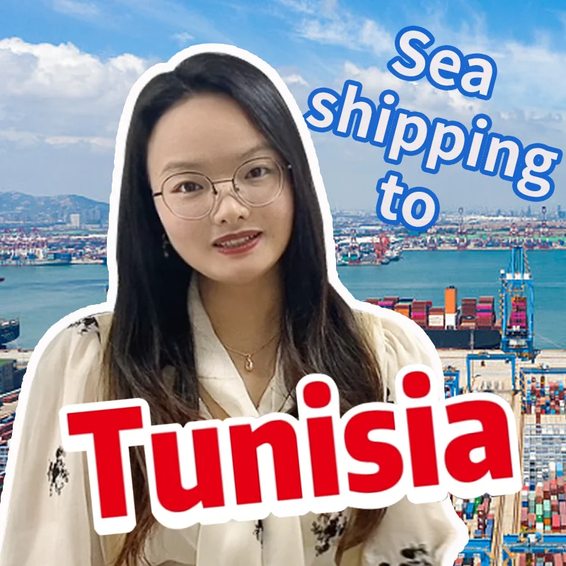 Free Dhl Air Freight Rates Fedex Express Import Export Air Sea Ddp Shipping Prices Services International To Tunisia Ddp