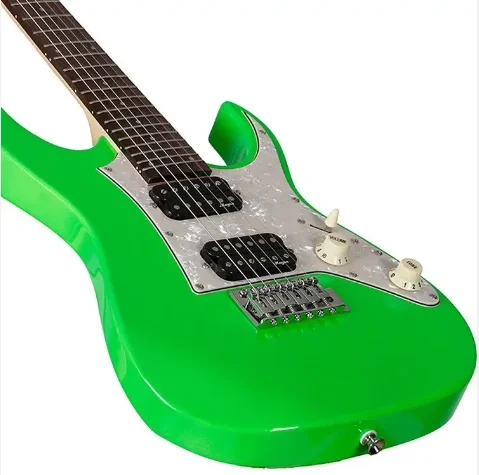 Professional electric acoustic guitar