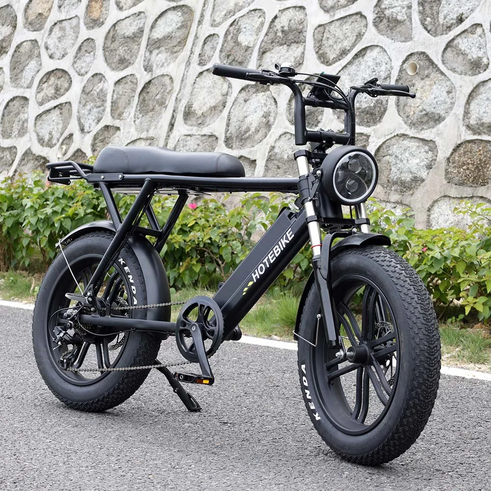 Off-road Electric Bike Ce Electric Mountain EBike 48v 500W 750WE 20inch Fat Tire Electric Bike