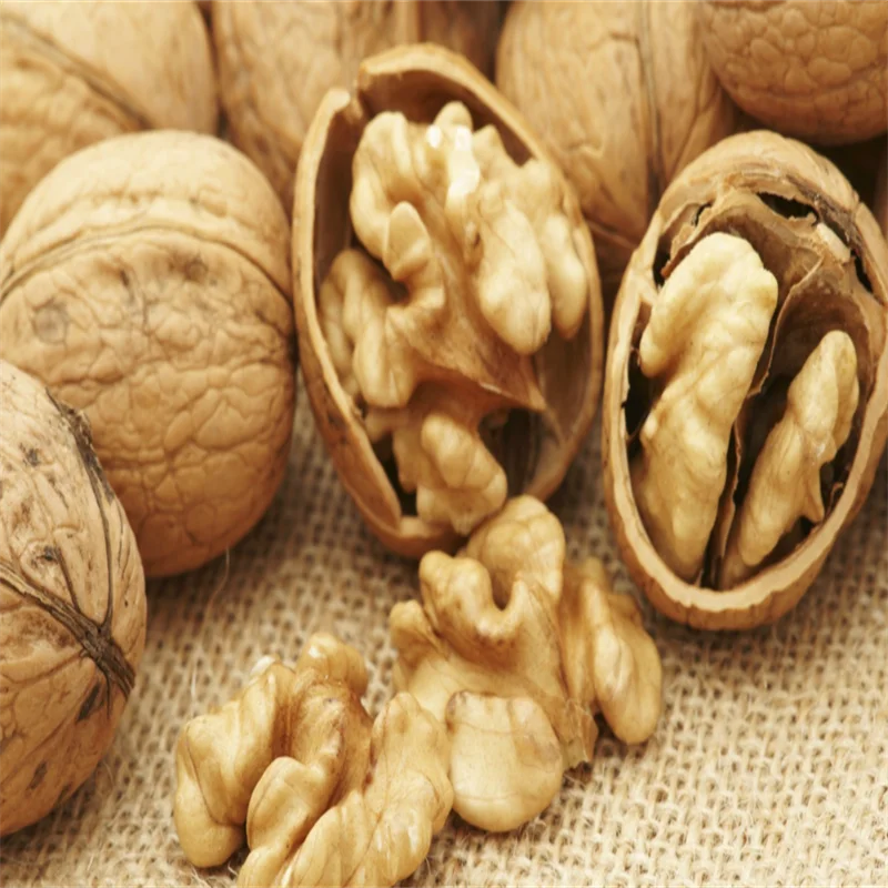 2021 New Crop Harvest Walnut/Walnut in Shell Food Chinese Export Inshell Shelled