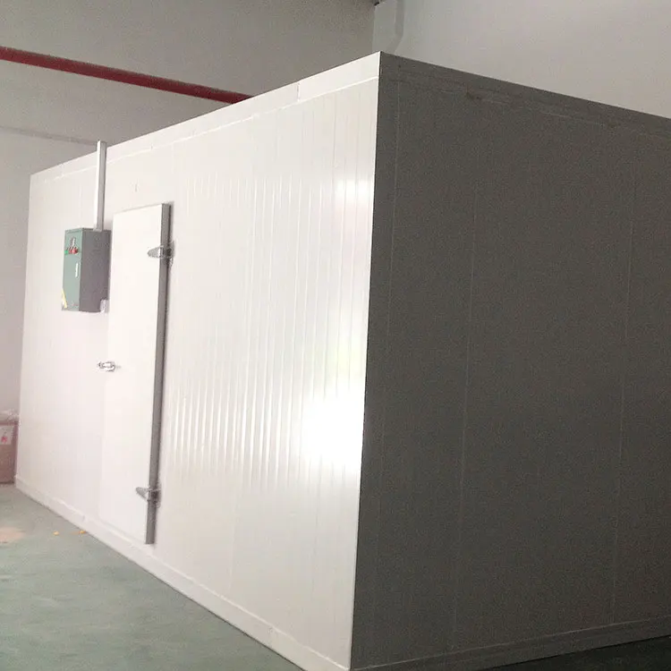 Новый стиль мороженое хранения холодной комнате с высоким качеством