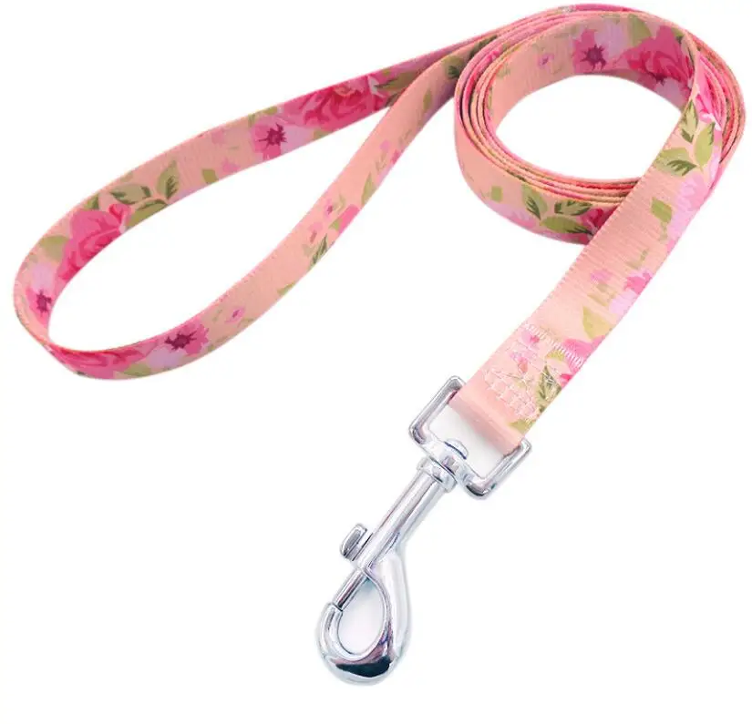 
New Product Lightweight Sturdy Nylon Pet Dog Leashes for Different Dog Pet 