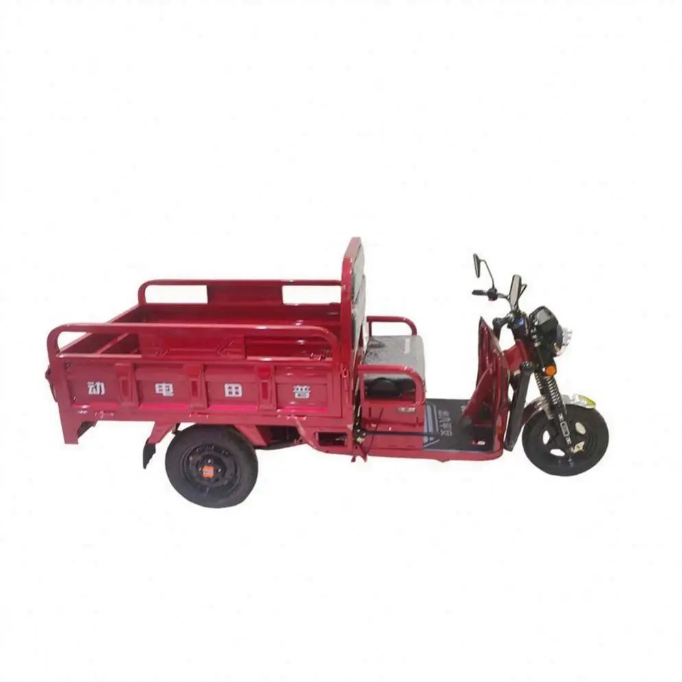 Hot SKD 3 Wheel Motorcycle Electric Tricycles For Sell