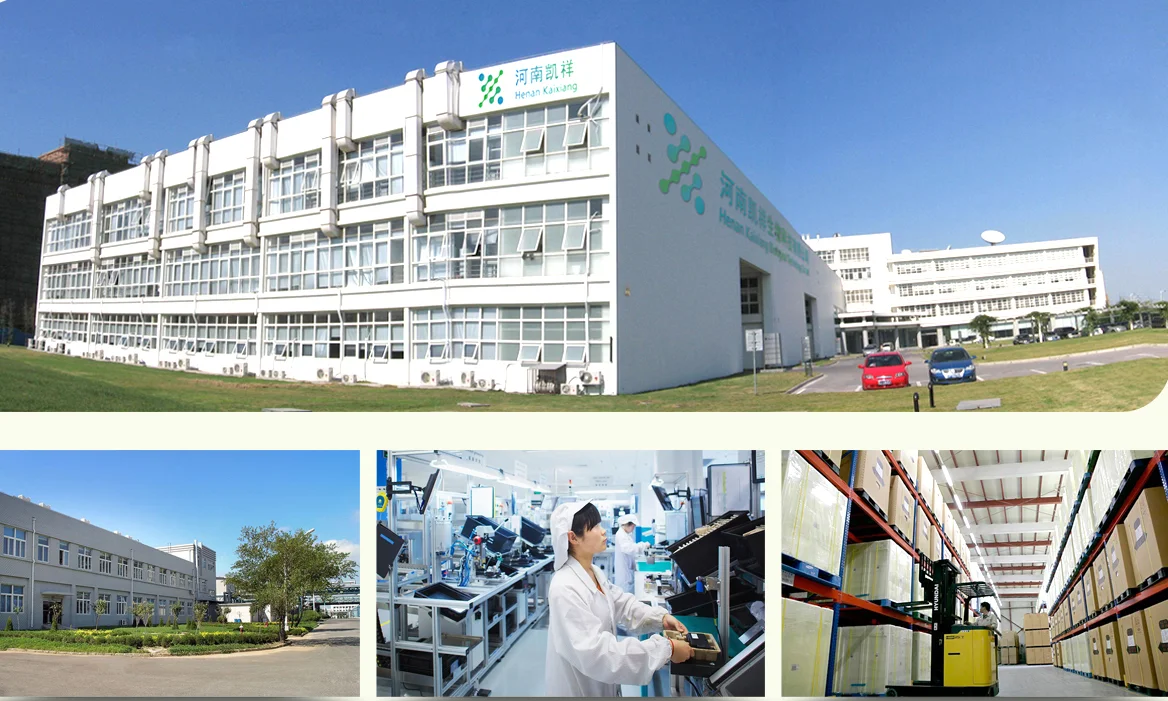 huang jing/sealwort/Polygonatum sibiricum/Rhizoma Polygonati Extract powder