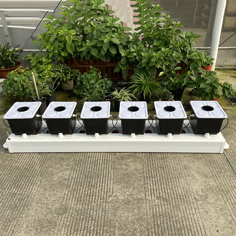 aeroponic dutch bucket (9)