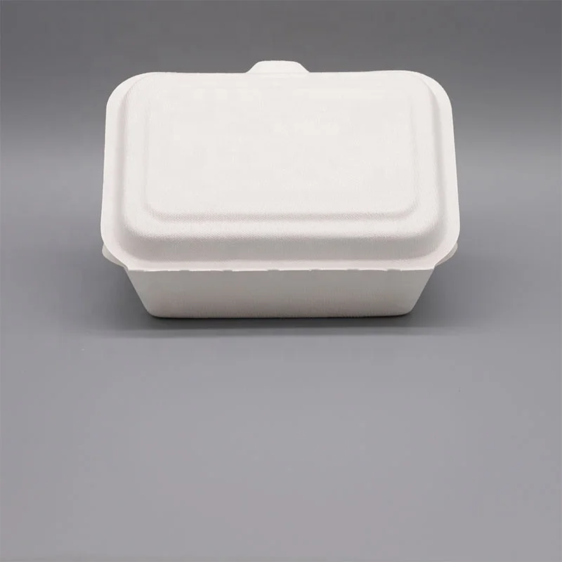 eco friendly lunch box bagasse