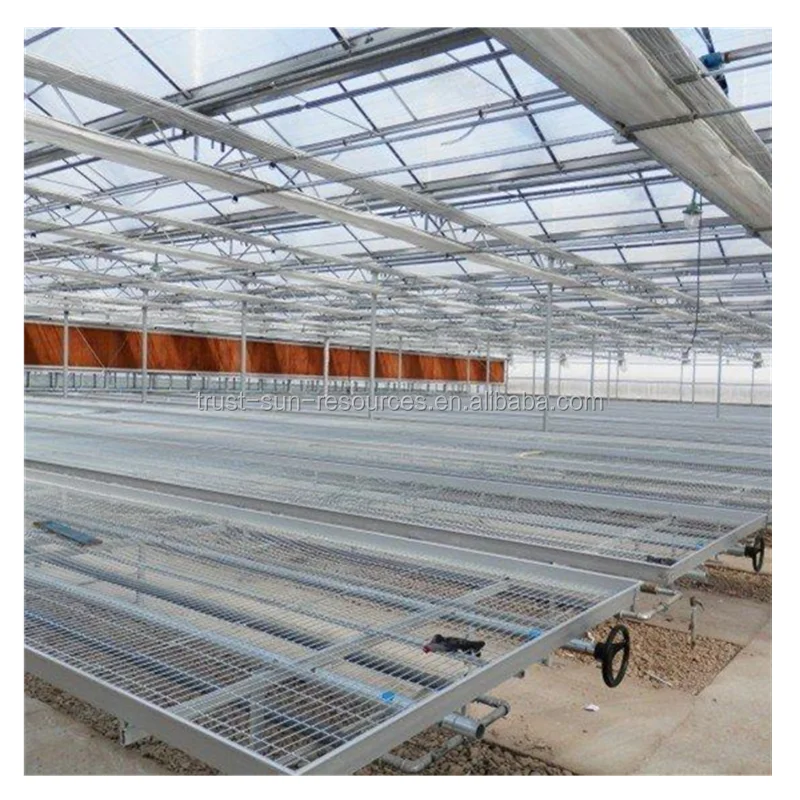 
Hot Sale Greenhouse Movable/ Ebb and Flood Rolling Benches/Seeds 