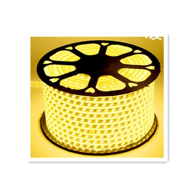 5730 120leds Double Line Project Rope Light RGB Music Activated Led Strip Light