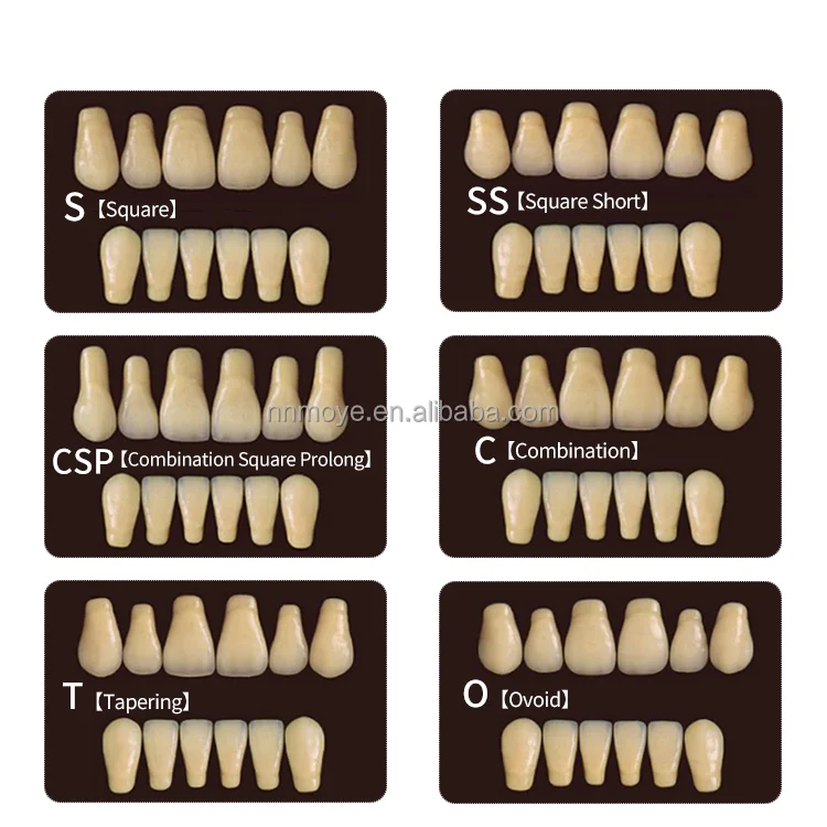 Фабрика синтетическая смола зубы акриловые зубные производители