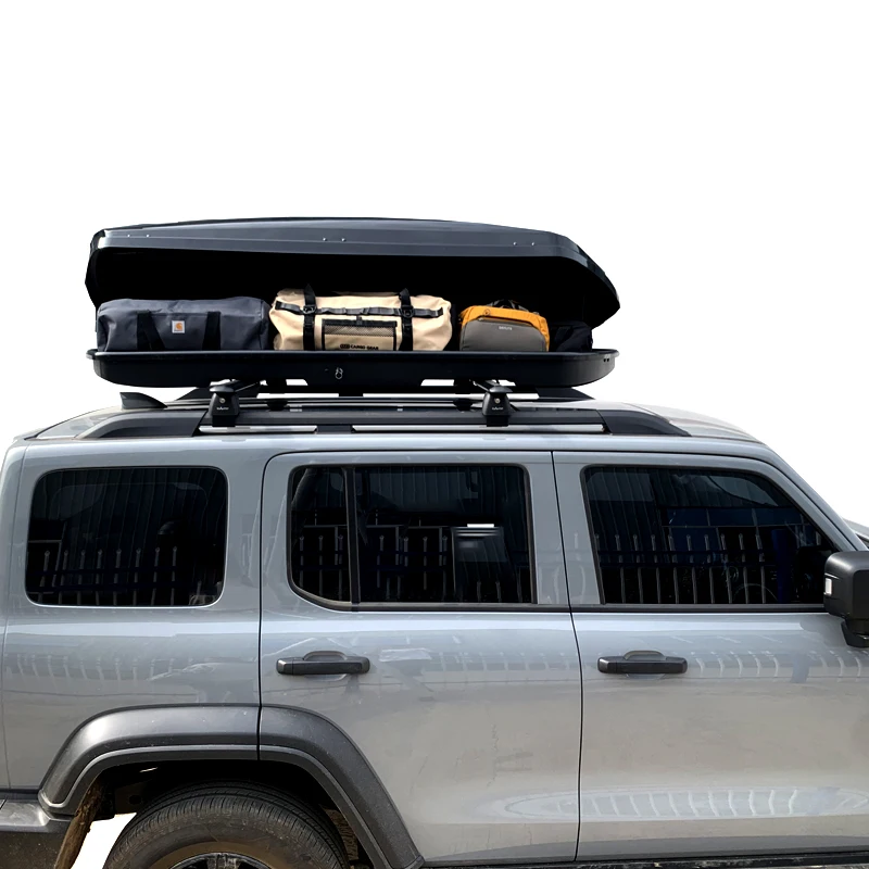 Cargo Box/Carrier for Skis Snowboards and Winter Gear