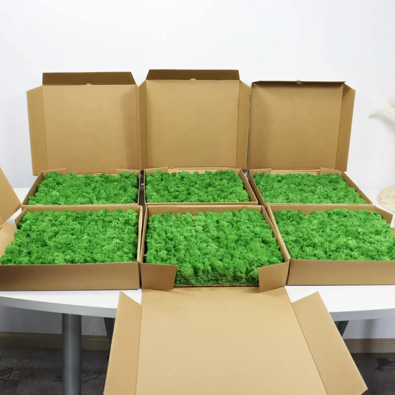 wholesale preserved flowers and plants natural real moss wall art green stabilized reindeer preserved moss wall for decor