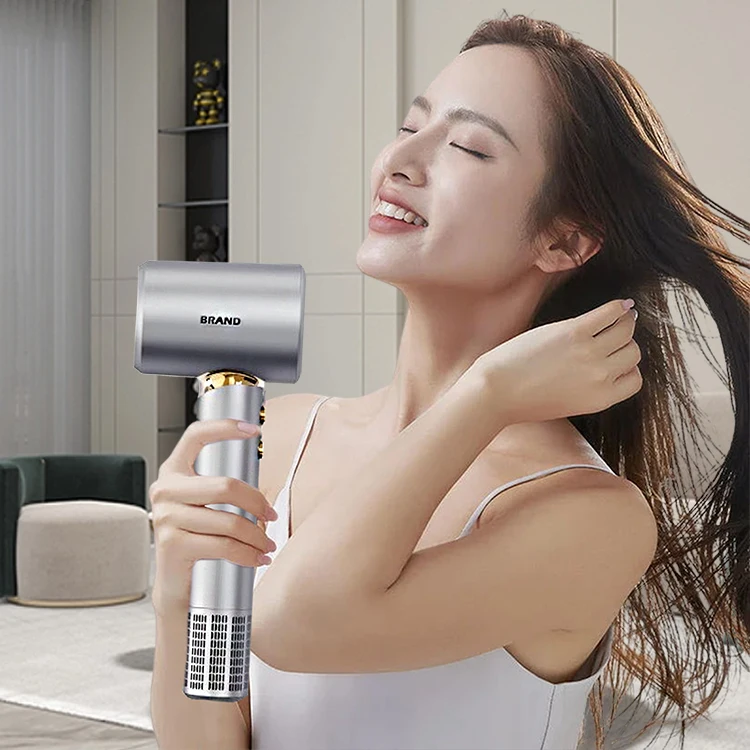 BLDC Leafless Portable Negative Ion Manufacture High Speed Mini Smart Household One Step Electric Professional Ionic Hair Dryer