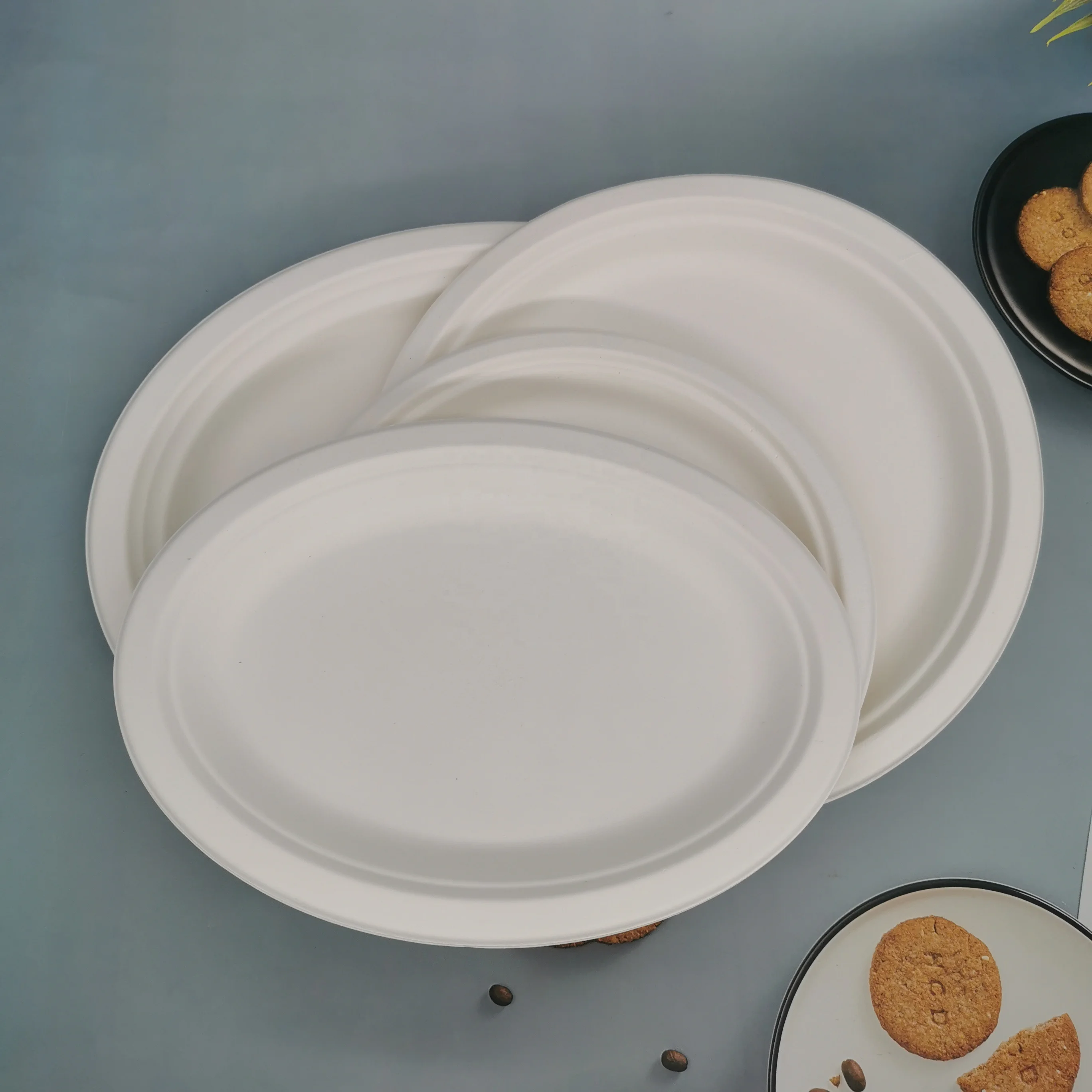 Natural Renewable Bagasse Tableware 100% Compostable Sugar Cane Bagasse Pulp Oval Shape Dishes Plates