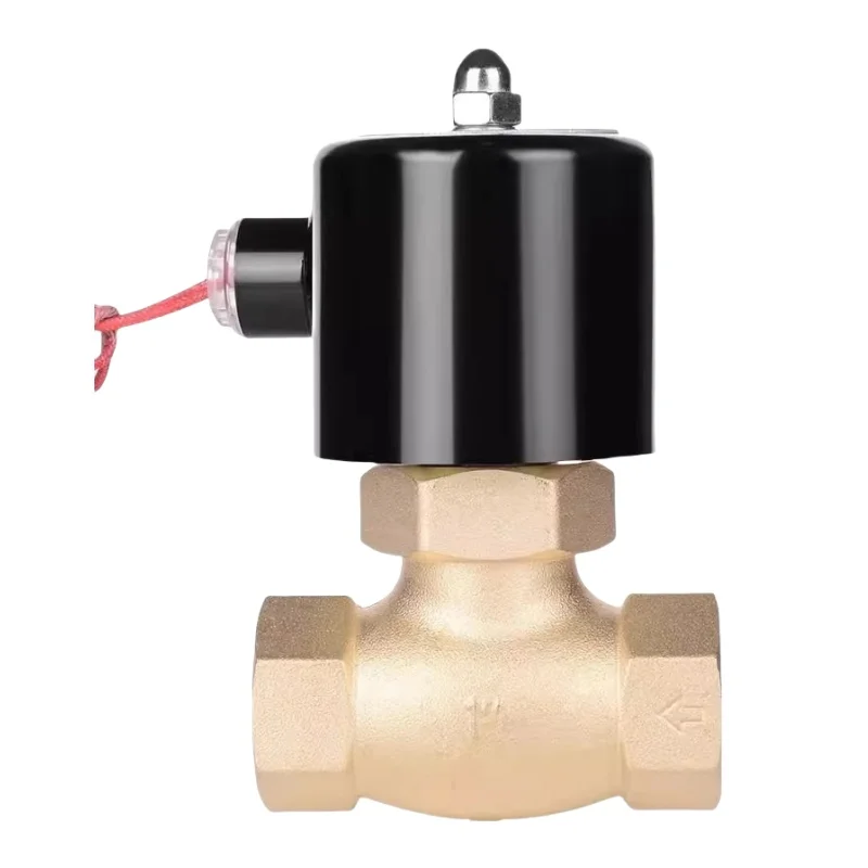 DN50 Steam Solenoid Valve Gas Liquid AC220V Normally Closed DC24V Stainless Steel Pilot Piston Solenoid Valve