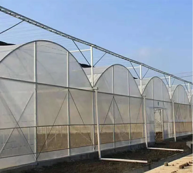 China  plastic  conservatory  ploytunnel winter commercial  chinese tomato/mushroom agricultural plastic film  greenhouses