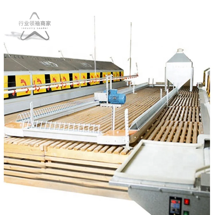 BOLONG ethiopia chicken farm poultry equipment for sale poultry automation equipment free range system for layers