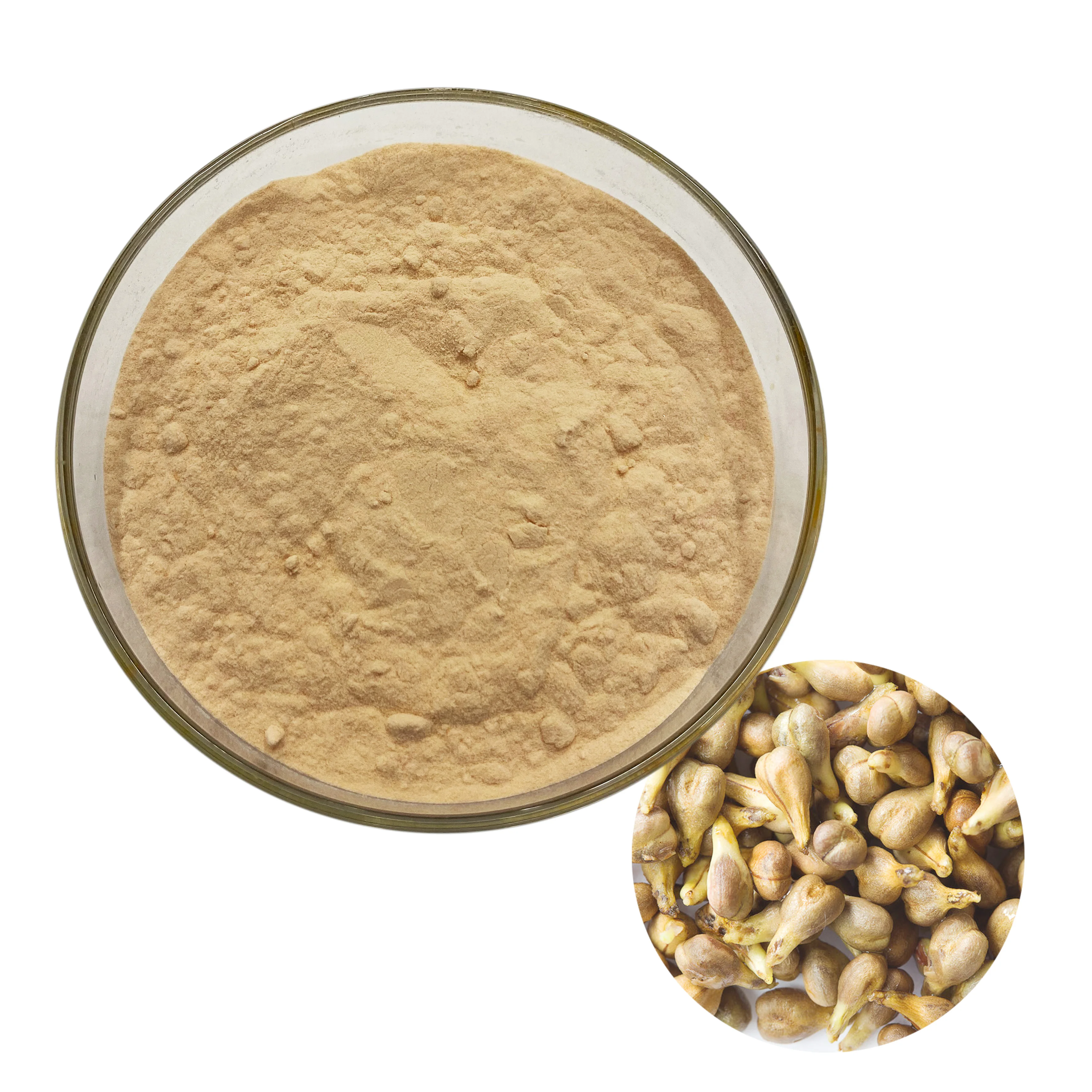 
Whole Sale natural antioxidant foods organic opc 95% grape seed extracts powder 