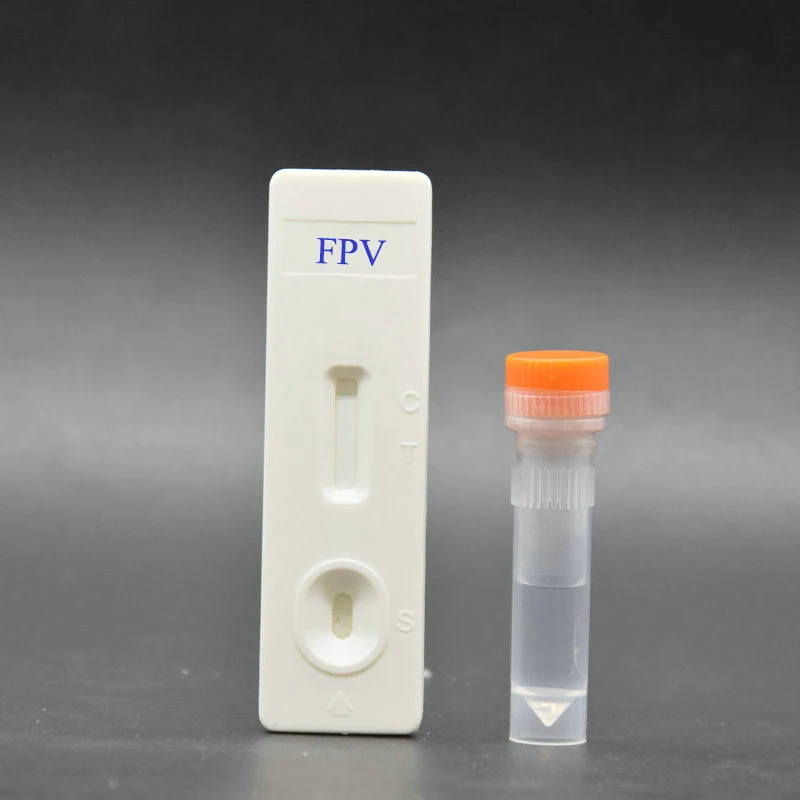 CE ISO factory  supply ship soon  delivery fast high quality Cat Fpv Rapid Test Kit Feline Parvovirus Panleukopenia ag test kit