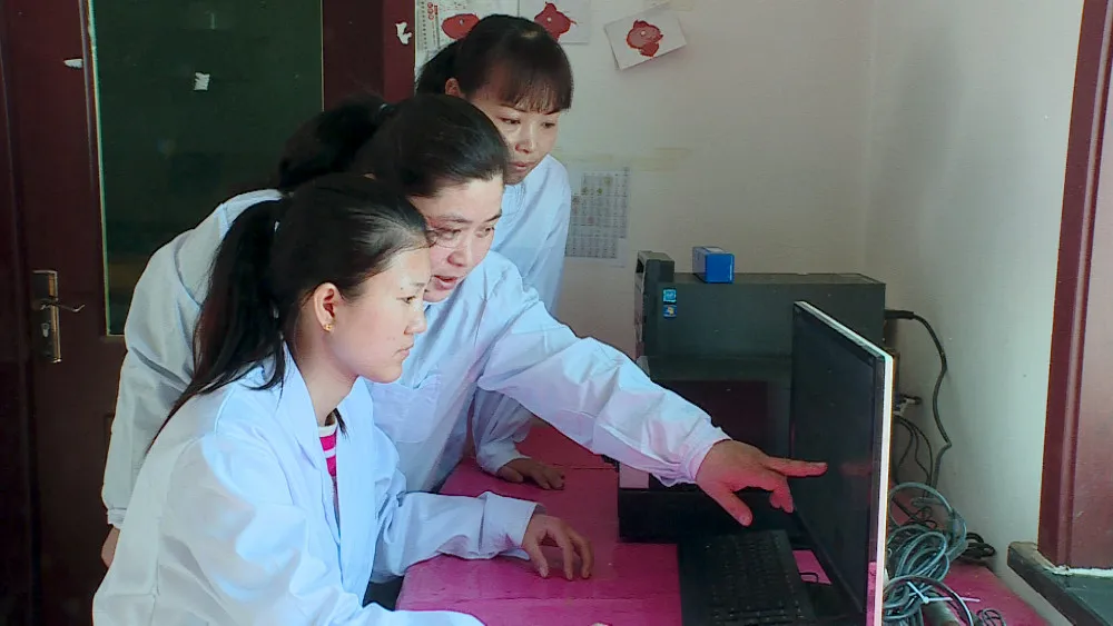 
water paint Zinc Phosphate 99.9% pigment anticorrosion 7779-90-0 