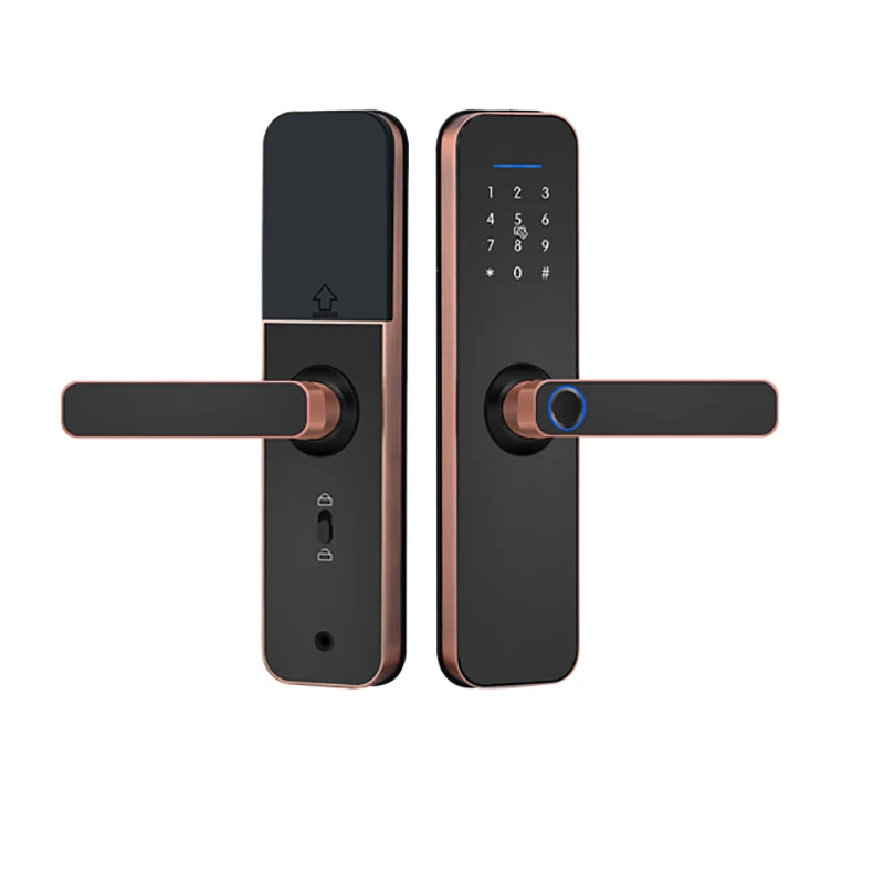 Smart Digital fingerprint european style intelligent Alexa App Handle door lock electronic ttlock Wifi wood door lock