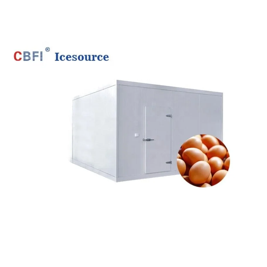Automatic Hot-sale Cold room (walk in freezer) for fruit/fish/meat/flower for sale with CE approved