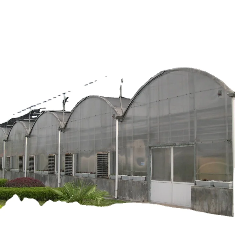 best service Skyplant Easy Assemble pc sheet greenhouse