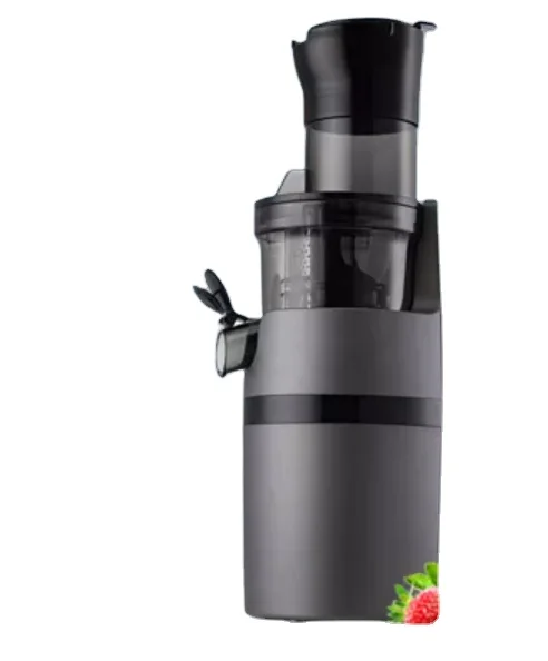 Factory Wholesale Professional Made Excellent Cold Pressed Juicer Customized Slow Juicer Extractor