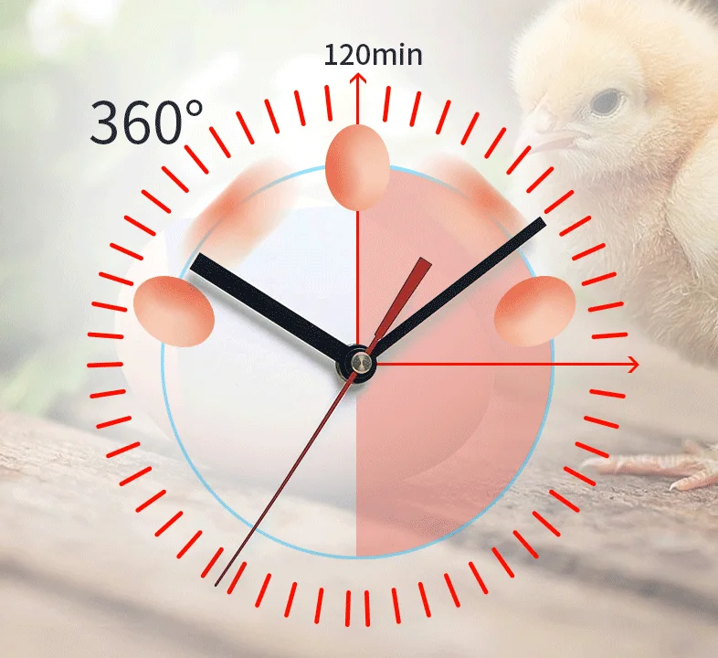 
incubators hatching 48 128 500 eggs fully automatic machine for eggs 