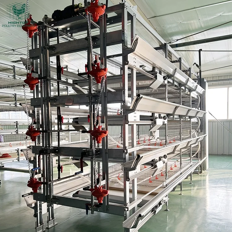 Automatic Animal Poultry Broiler Farm Equipment Battery Chicken Broiler Cage System For Chicken House Broiler Coop