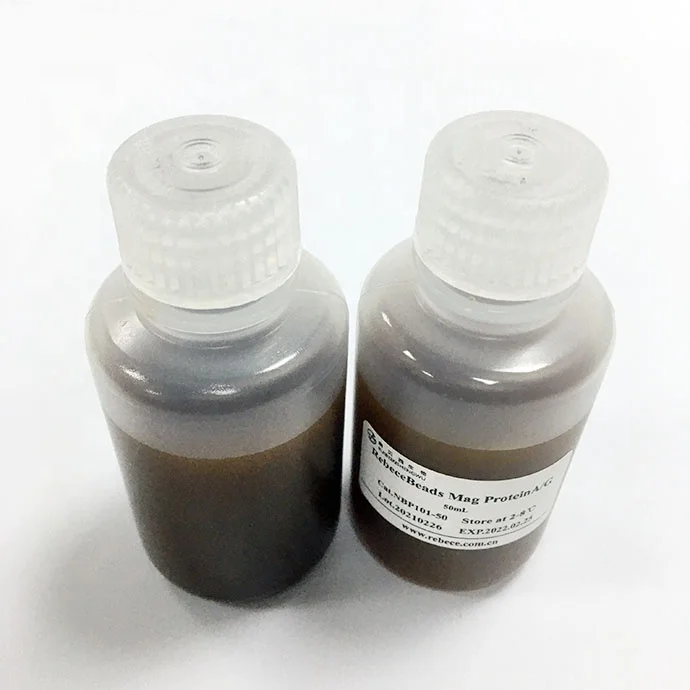 Hot-sale Professional Lower Price Magnetic Beads Protein A/G Extraction Kit