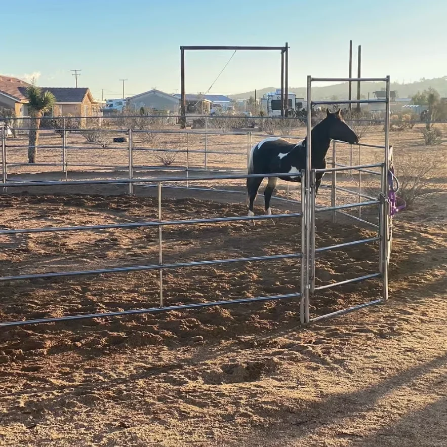 Оцинкованные панели ограждения для лошадей сельского
